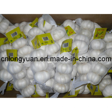 Golden Supplier Chinese Fresh Pure White Garlic